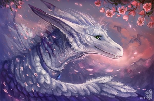 Зирнитра дракон