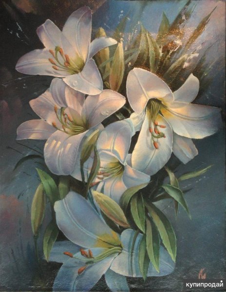 Шоколадница Лилич Лилия цветок