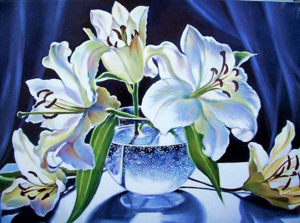 Белые лилии картина