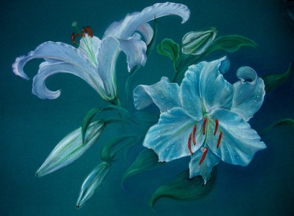 Художник Fiona Craig