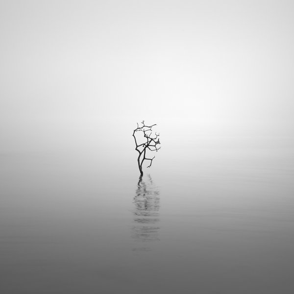 Минимализм Эстетика