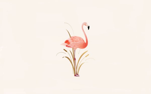 Цветы арт Минимализм