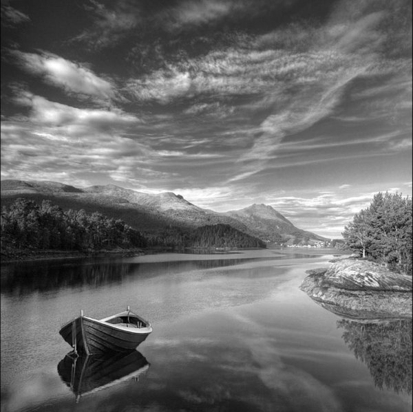 Ник Брандт Nick Brandt