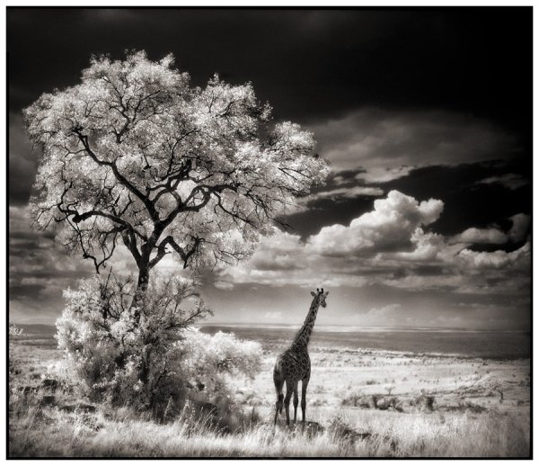 Нью Йорк чб мост