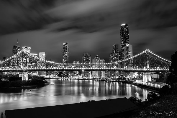 Черно белая природа