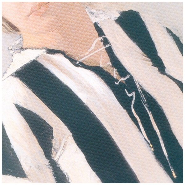 Самохвалов девушка в футболке