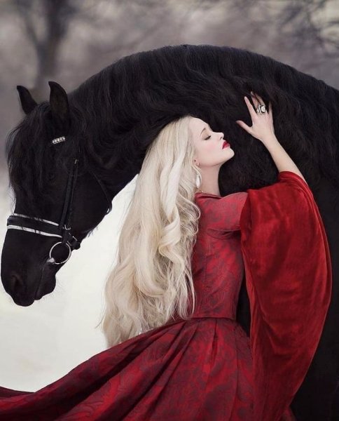 Ведьма на коне