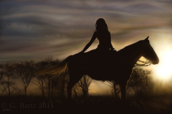 Девушка на черном коне