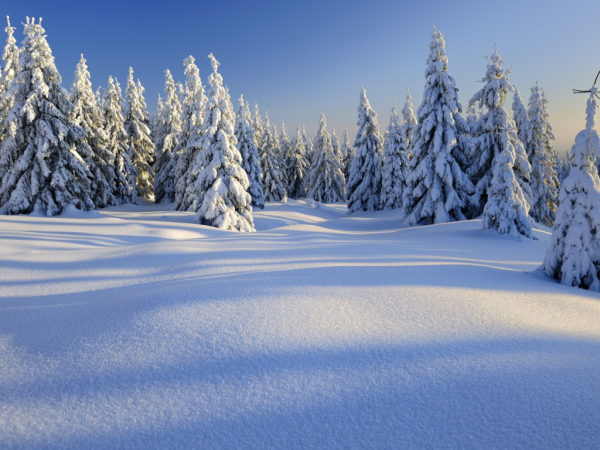 Зимняя природа