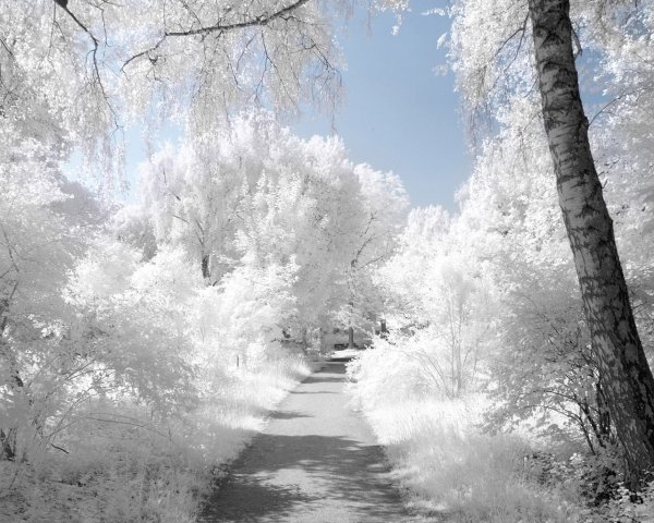 Зимний пейзаж