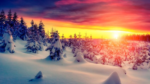 Снежный пейзаж