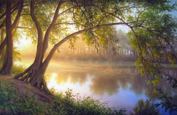 Сказочная ночь