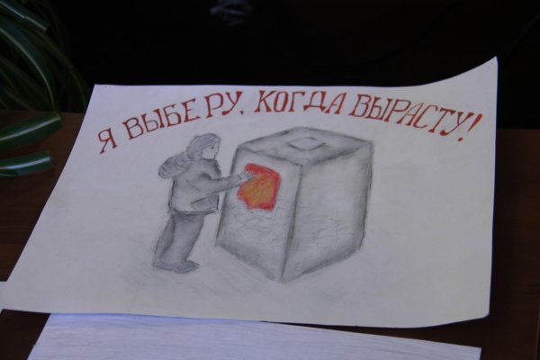 Выборы рисунок