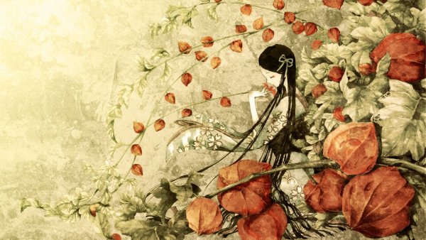 Китайская живопись физалис