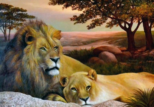 Лев и львица маслом на холсте