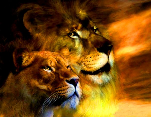 Алмазная мозаика львиная семья