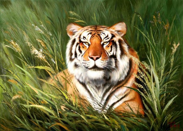 Тигр картины художников
