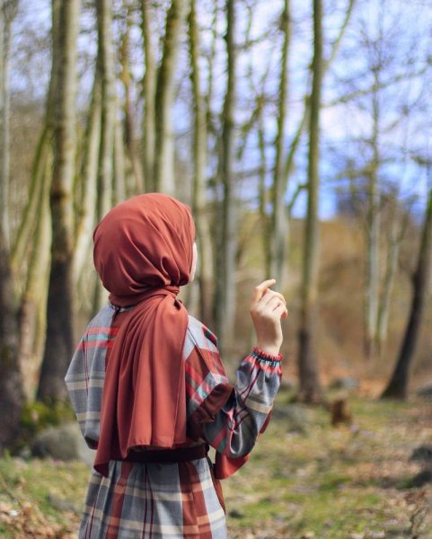 Мусульманки в платках со спины