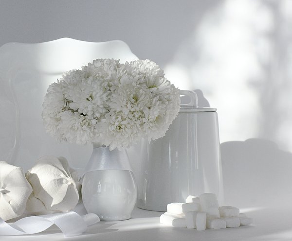 Лебеди на озере