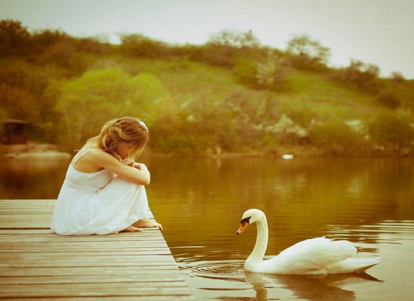 Доброта простота