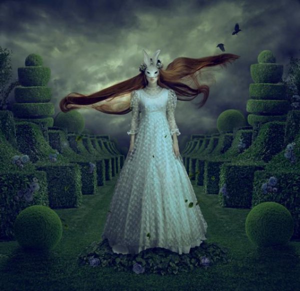 Натали шау картины