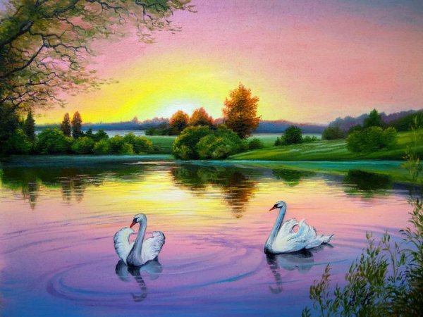 Художник Ташкевич Елена Николаевна