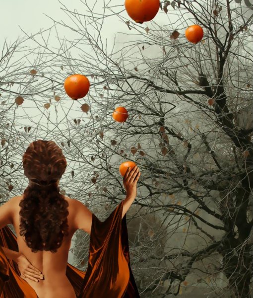 Девушка с мандаринами