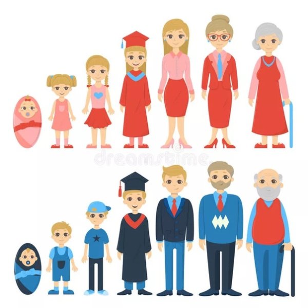 Человек от младенца до старика