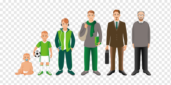 Взросление человека для детей