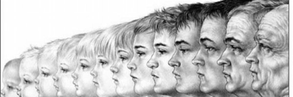 Жизнь от рождения до старости