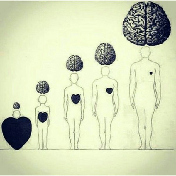 Взросление человека для детей