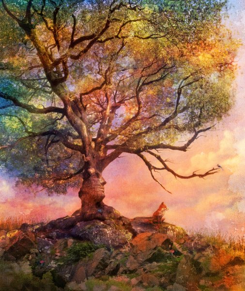 Красивые арты природы