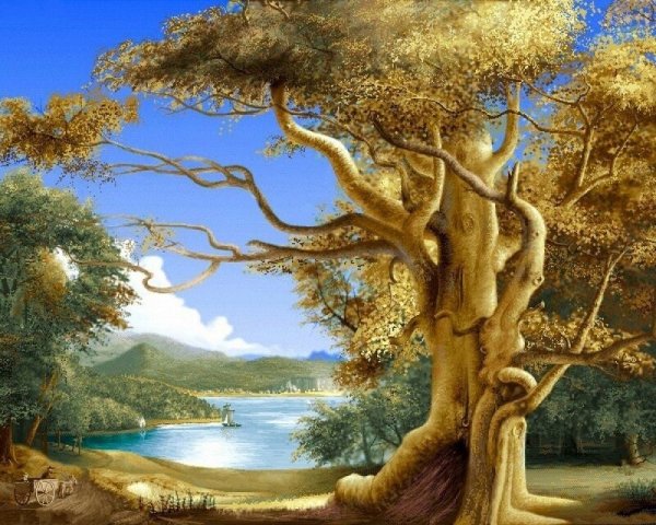 Красивый силуэт дерева