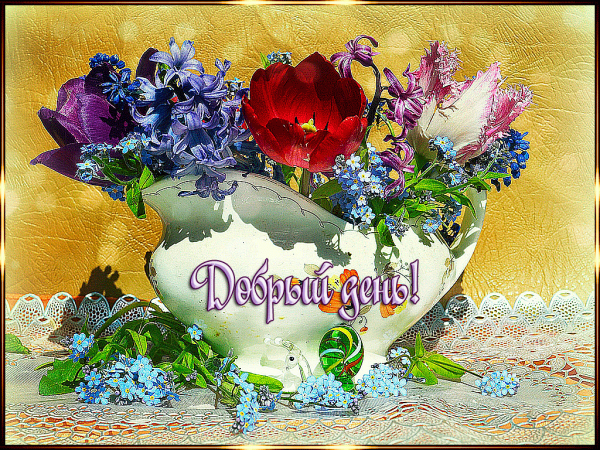 Добрый день