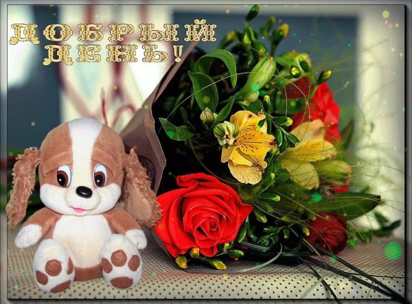 Добрый день картинки