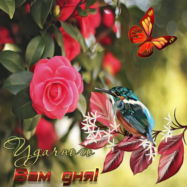 Пожелания доброго дня