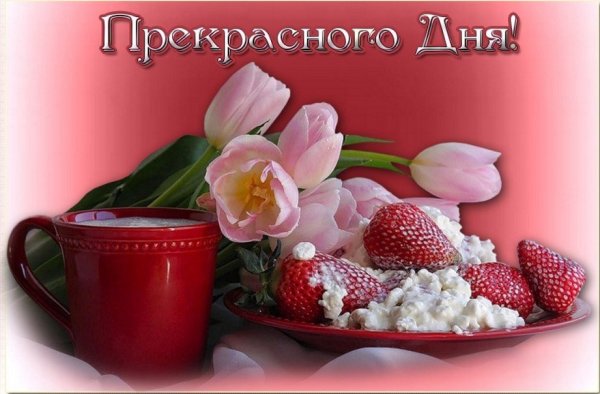 Открытки с добрым днём