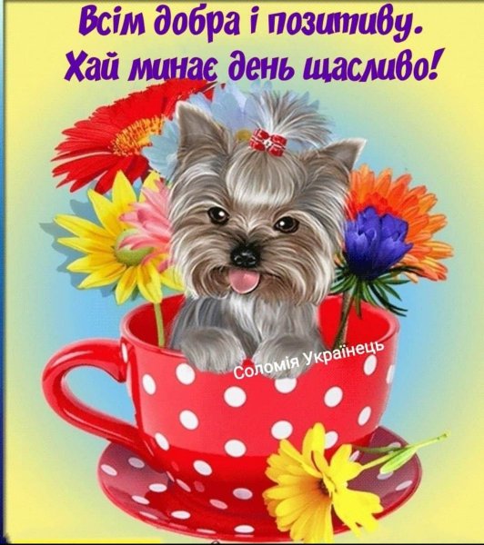 Доброго дня и хорошего настроения