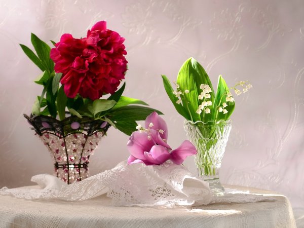 Добрый день очень красивые