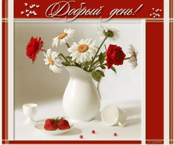 Красивые открытки с надписью добрый день