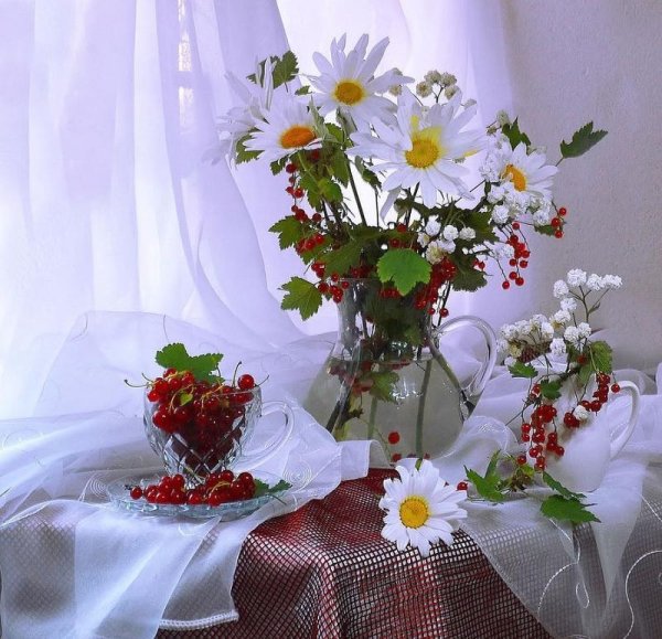 Красивые пожелания доброго дня