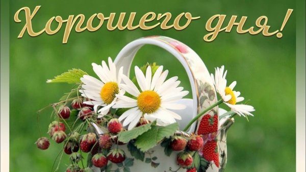 Хорошего августовского дня с пожеланиями