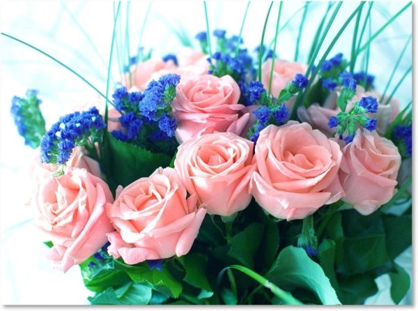 Добрый день картинки