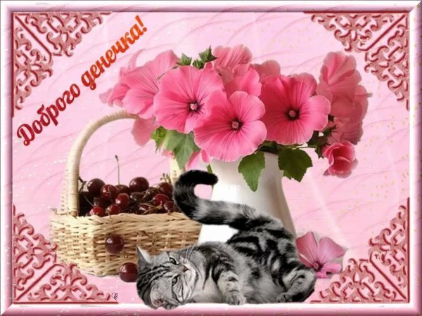 Удачного дня природа