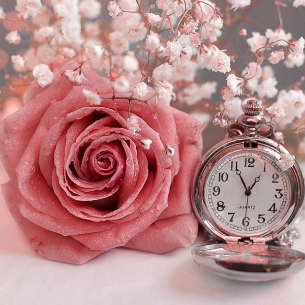 Чудесного летнего утра