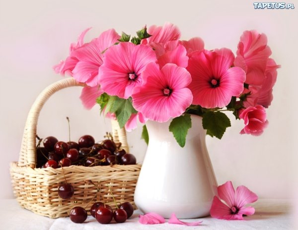 Доброго дня природа