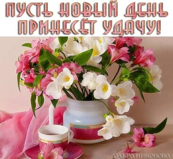 Чудесного дня