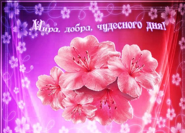 Открытки с добрым утром цветы