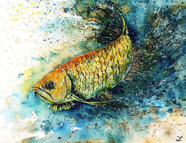 Арована картина