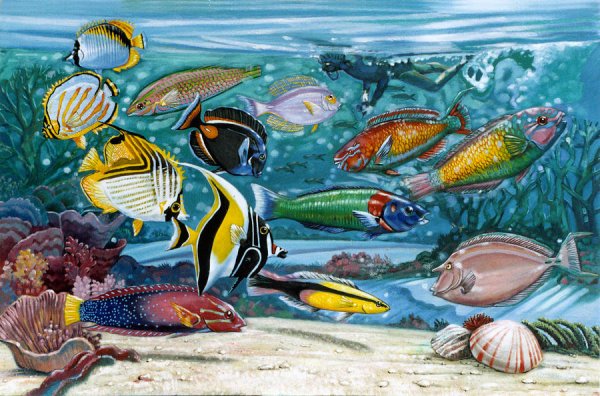 Подводный мир рыбки живопись